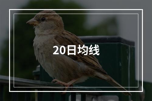 20日均线