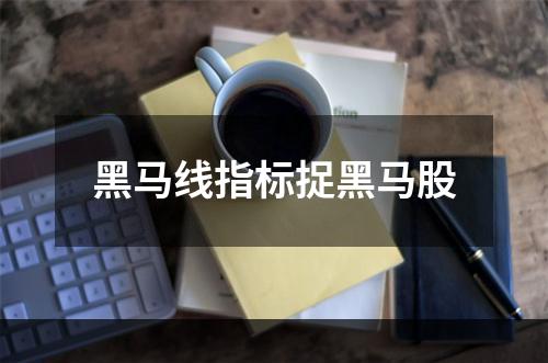 黑马线指标捉黑马股