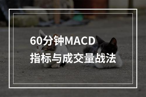 60分钟MACD指标与成交量战法