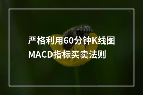 严格利用60分钟K线图MACD指标买卖法则