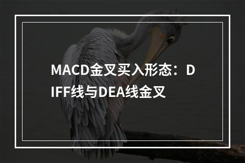 MACD金叉买入形态：DIFF线与DEA线金叉