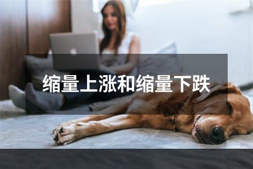缩量上涨和缩量下跌