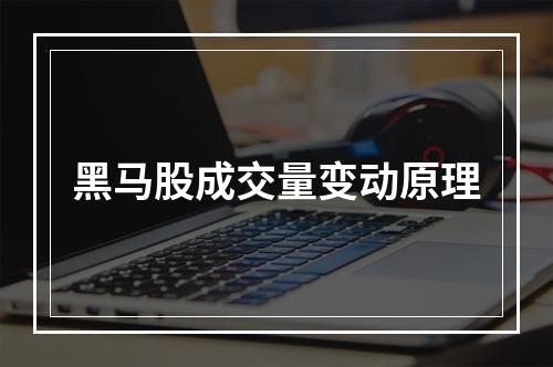 黑马股成交量变动原理