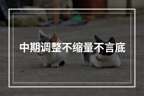 中期调整不缩量不言底