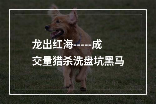 龙出红海-----成交量猎杀洗盘坑黑马