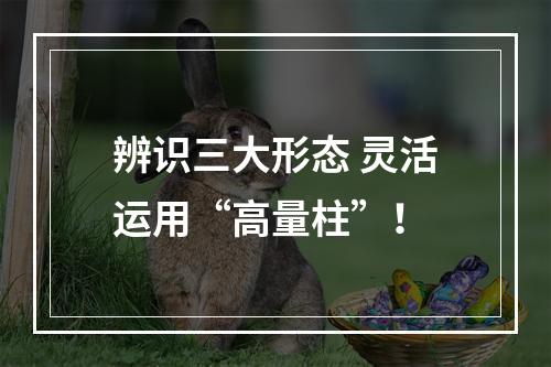 辨识三大形态 灵活运用“高量柱”！