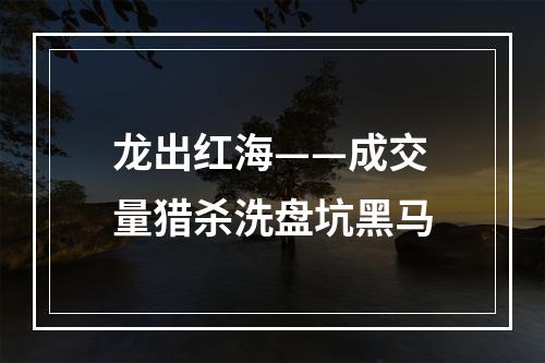 龙出红海——成交量猎杀洗盘坑黑马