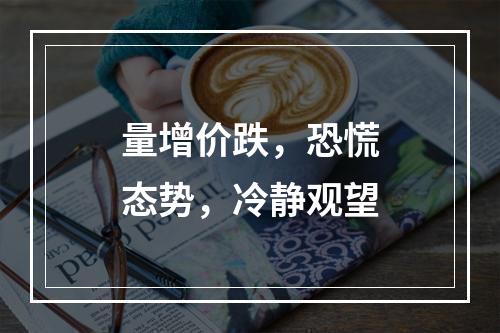 量增价跌，恐慌态势，冷静观望
