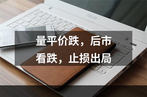 量平价跌，后市看跌，止损出局