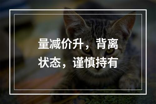 量减价升，背离状态，谨慎持有