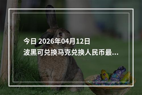 今日 2026年04月12日 波黑可兑换马克兑换人民币最新汇率行情
