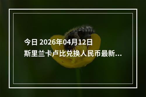 今日 2026年04月12日 斯里兰卡卢比兑换人民币最新汇率行情