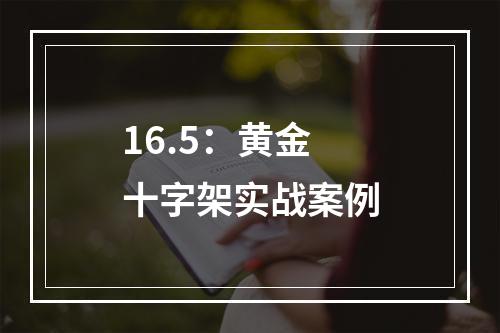 16.5：黄金十字架实战案例