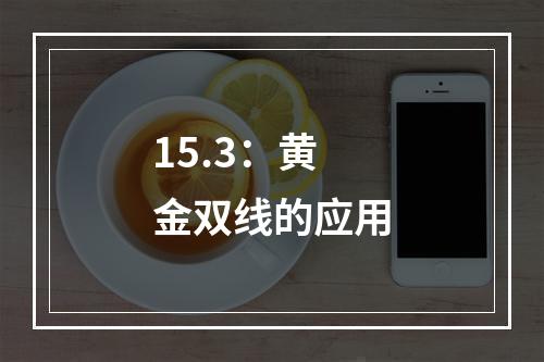 15.3：黄金双线的应用