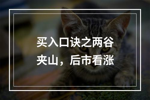 买入口诀之两谷夹山，后市看涨