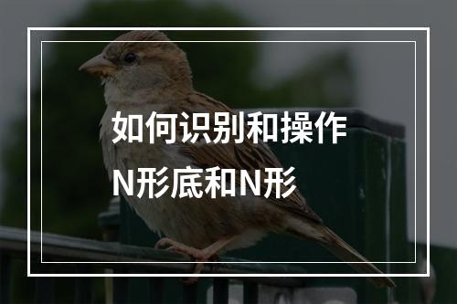 如何识别和操作N形底和N形