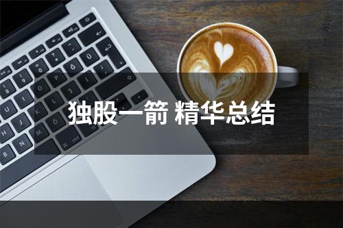 独股一箭 精华总结