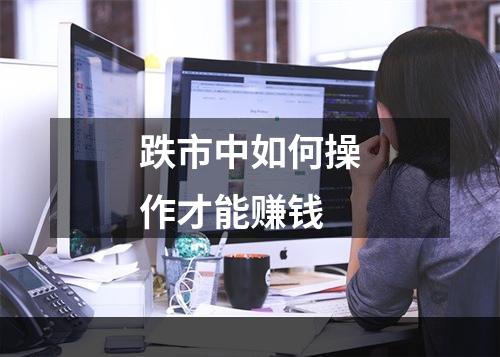 跌市中如何操作才能赚钱
