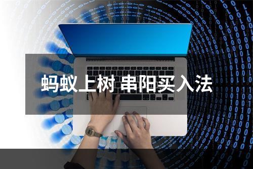 蚂蚁上树 串阳买入法