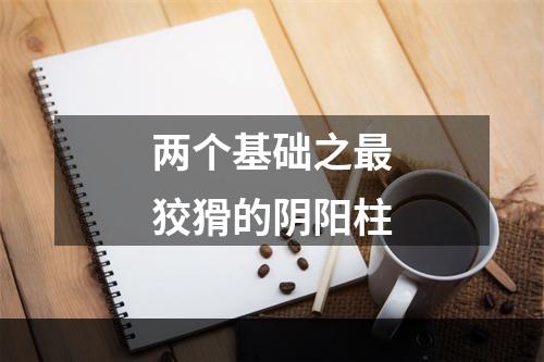 两个基础之最狡猾的阴阳柱
