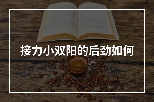接力小双阳的后劲如何