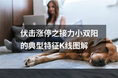 伏击涨停之接力小双阳的典型特征K线图解