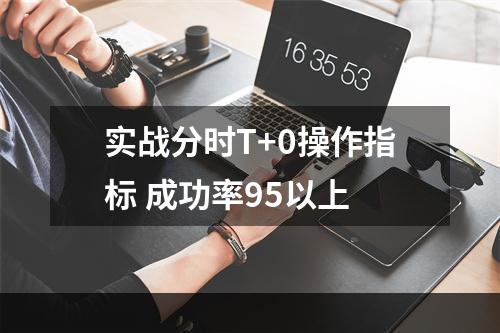 实战分时T+0操作指标 成功率95以上