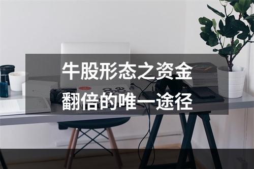 牛股形态之资金翻倍的唯一途径