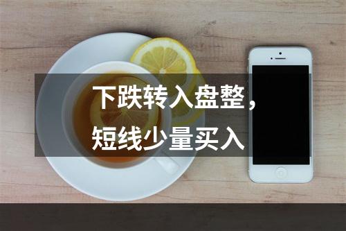 下跌转入盘整，短线少量买入