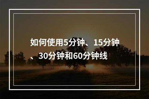 如何使用5分钟、15分钟、30分钟和60分钟线