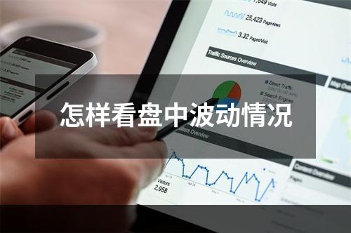 怎样看盘中波动情况