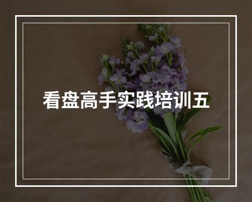 看盘高手实践培训五
