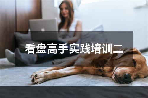 看盘高手实践培训二