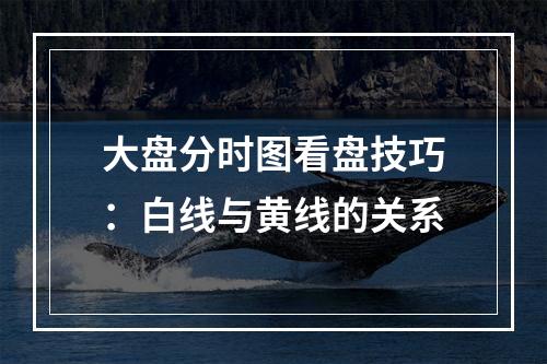 大盘分时图看盘技巧：白线与黄线的关系
