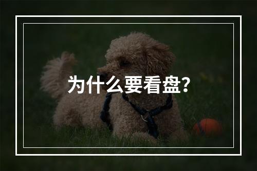 为什么要看盘？