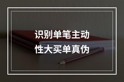 识别单笔主动性大买单真伪