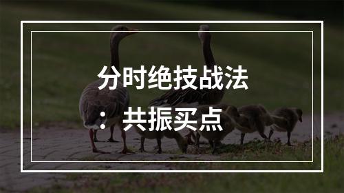 分时绝技战法：共振买点