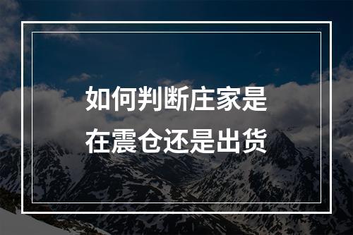 如何判断庄家是在震仓还是出货