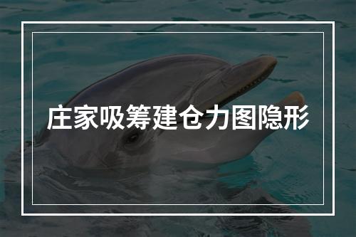 庄家吸筹建仓力图隐形
