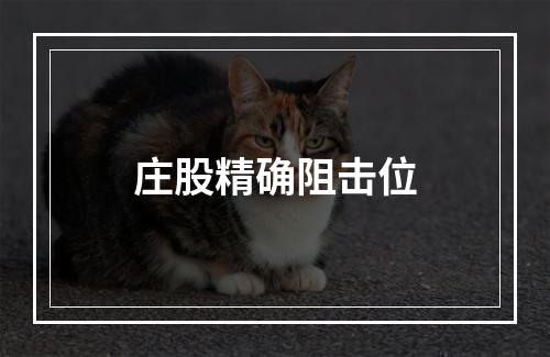 庄股精确阻击位
