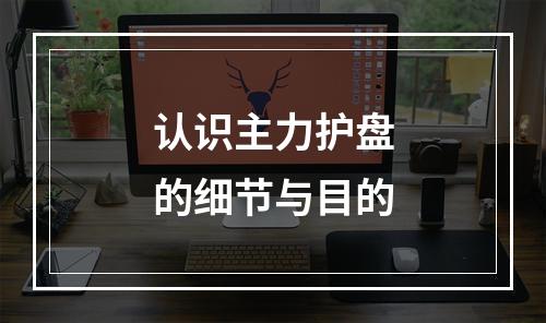 认识主力护盘的细节与目的
