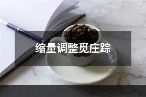 缩量调整觅庄踪