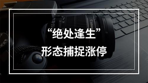“绝处逢生”形态捕捉涨停