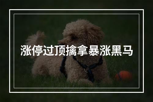涨停过顶擒拿暴涨黑马