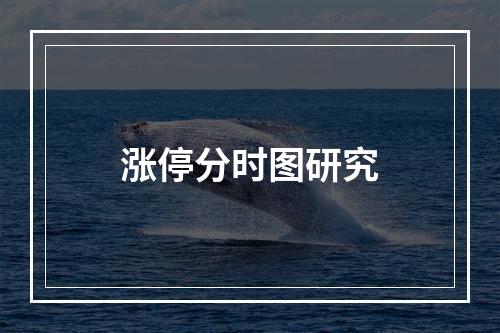 涨停分时图研究