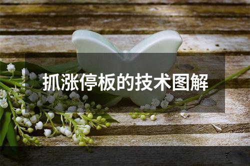 抓涨停板的技术图解