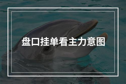 盘口挂单看主力意图