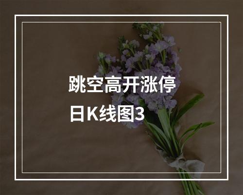 跳空高开涨停日K线图3