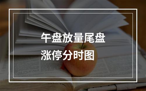 午盘放量尾盘涨停分时图