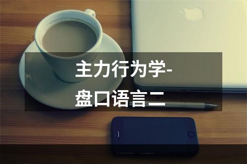 主力行为学-盘口语言二